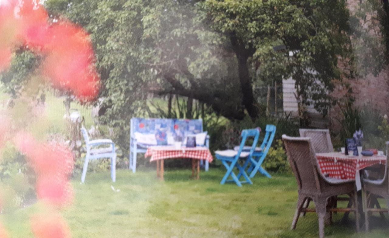 Chalets Op Minicamping Dorpszicht Gapinge 외부 사진